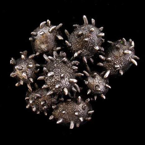 Polarella Glacialis Brooch by Karin Beaumont, on a black background.